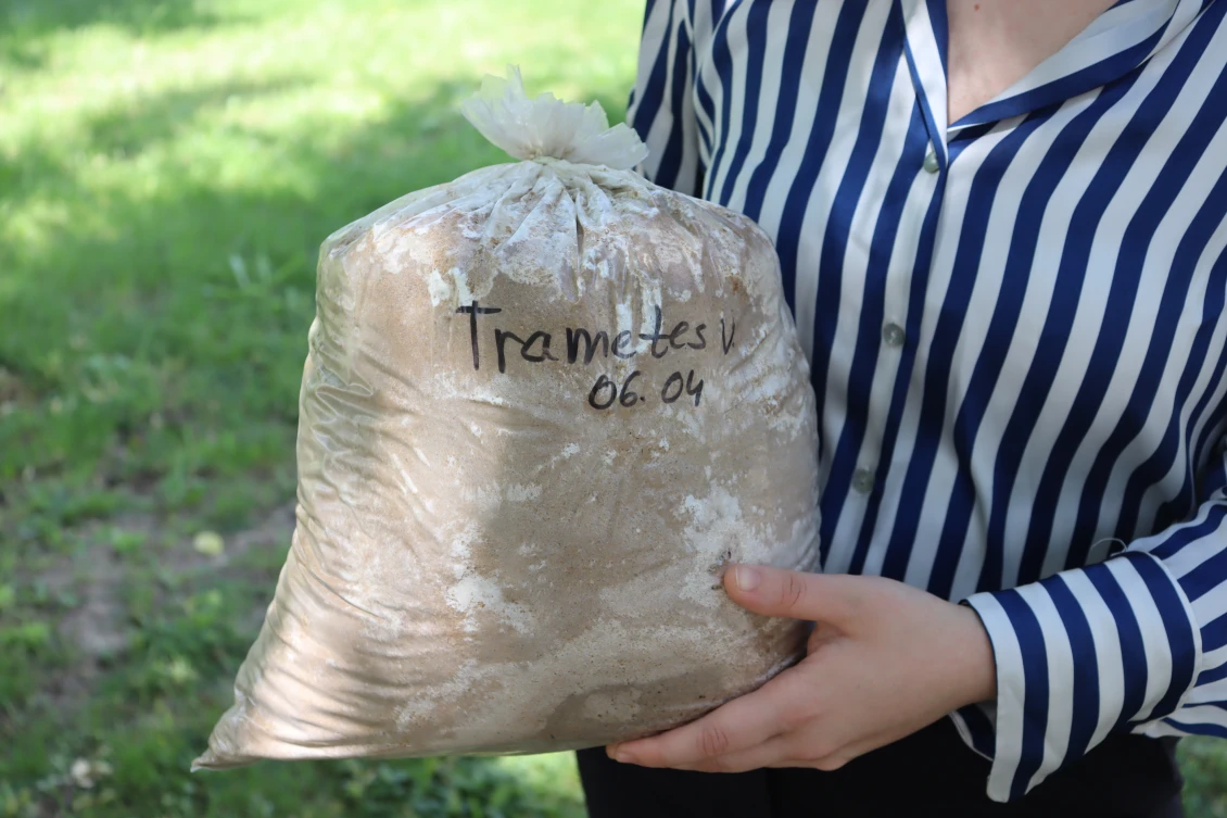 The package with substrate and mycelium