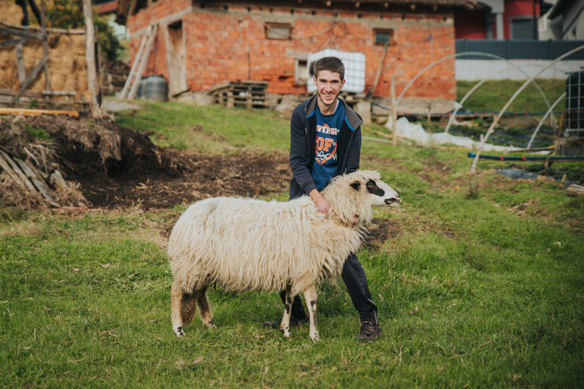 From a young age, Mirza Avdić developed a deep connection with animals. Growing up, he watched his father look after cows, however, he particularly enjoyed watching sheep.