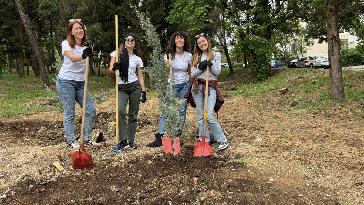 5 načina da učinite svoju NVO ekološki održivijom