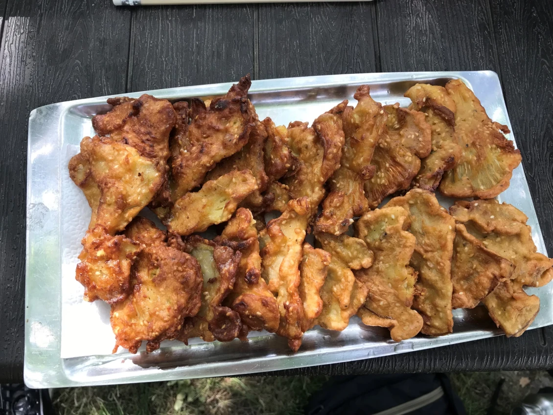 буковка на сонце (mushrooms on a sun) 